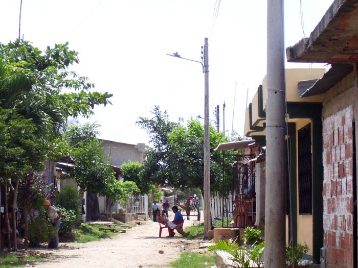 strassenlebenweb