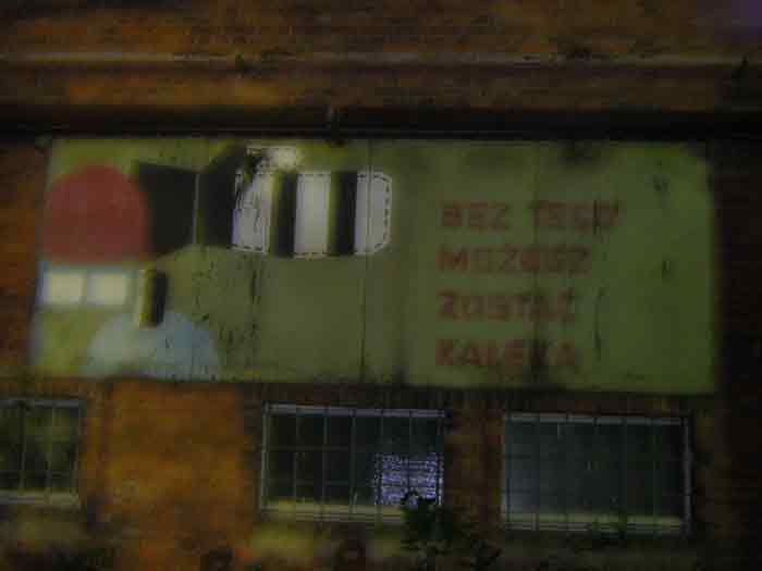 syz21