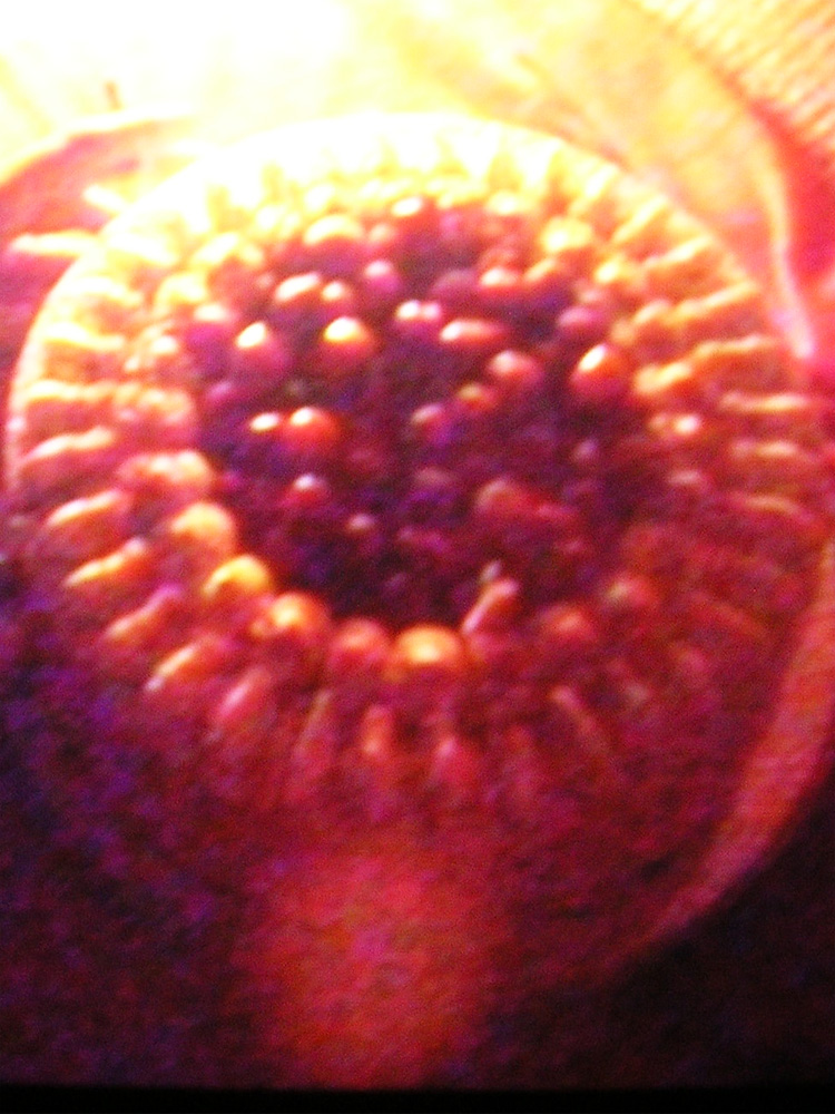 xx19